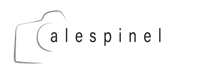 logo alespinel